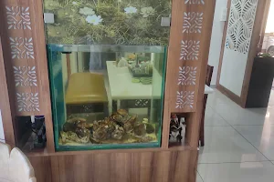 Aquarium Shop image