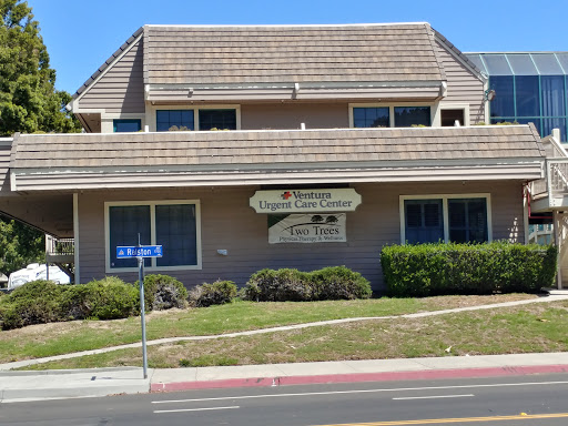 Two Trees Physical Therapy & Wellness