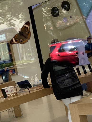 Computer Store «Apple Reston», reviews and photos, 11949 Market St, Reston, VA 20190, USA