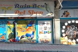 Rainbow petshop image