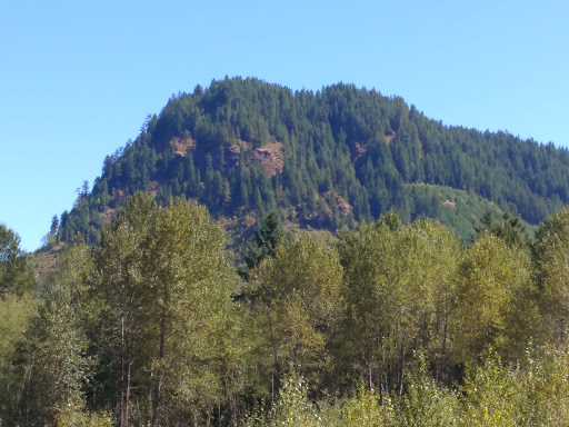 Tourist Attraction «Museum and Event Grounds for Mt. Rainier Railroad and Logging Museum», reviews and photos, 349 Mineral Creek Rd S, Mineral, WA 98355, USA