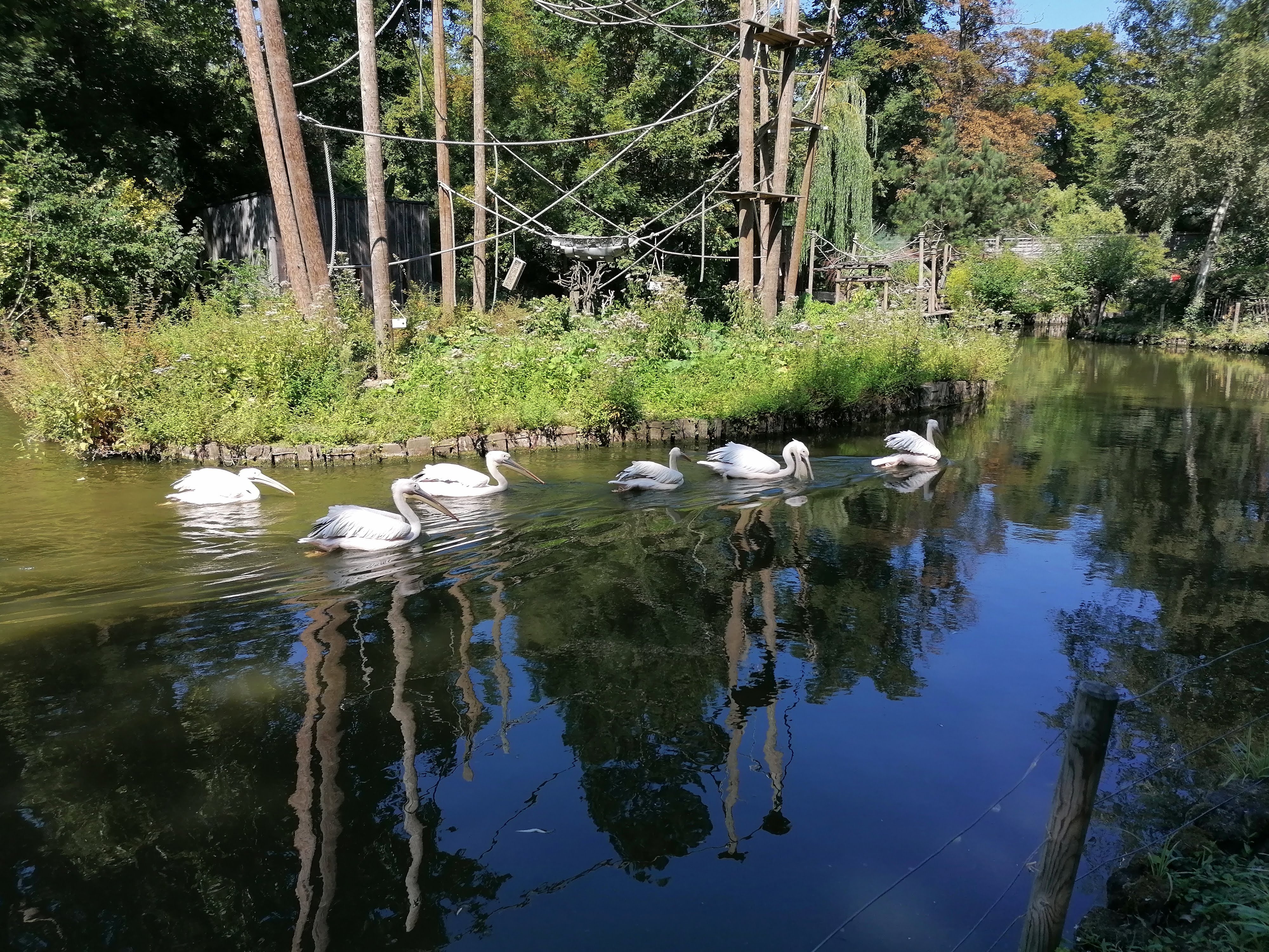 Photo n° 6 de l'avis de Mimicracra. fait le 13/08/2022 à 07:50