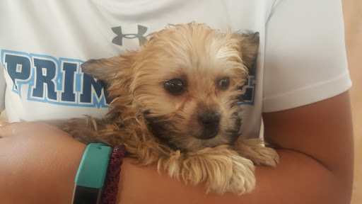 Pet Store «Fairwood Pet Center», reviews and photos, 14201 SE Petrovitsky Rd, Renton, WA 98058, USA