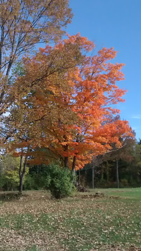 Historical Place Museum «Historic New England Hamilton House», reviews and photos, 40 Vaughans Ln, South Berwick, ME 03908, USA