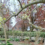 Photo n°5 de l'avis de Uwe.r fait le 24/04/2024 à 17:02 sur le  Gut Heidefeld à Bocholt