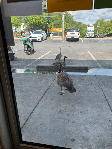 Explore 3 sister tattoo ideas, creative tattoo ideas in Atlanta, available at Virtue and Vice Body Piercing