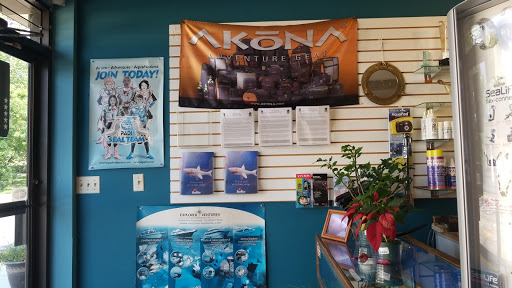 Sea Colony Aqua Sports, 836 Ritchie Hwy # 4, Severna Park, MD 21146, USA, 