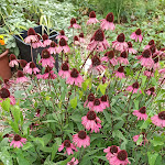 Photo n°3 de l'avis de Anna.r fait le 01/08/2023 à 16:25 sur le  Centro Parco Ex Dogana Austroungarica à Lonate Pozzolo