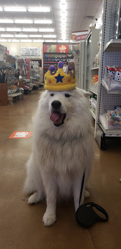 Pet Supply Store «Pet Food Express», reviews and photos, 300 Crossroads Blvd, Carmel-By-The-Sea, CA 93923, USA