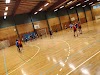 Idrætsforeningen Br66 Logo, Langeskov Na Ɔkyerɛwee, Denmark, Handball Club