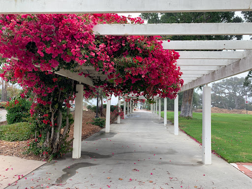Community College «Santa Barbara City College», reviews and photos