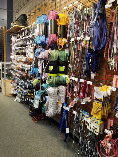 Camping Store «REI», reviews and photos, 12218 E Foothill Blvd, Rancho Cucamonga, CA 91739, USA