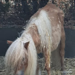 Photo n°6 de l'avis de Rabea.i fait le 30/07/2023 à 21:25 sur le  Parc Gallorose à Loc. Cedrino