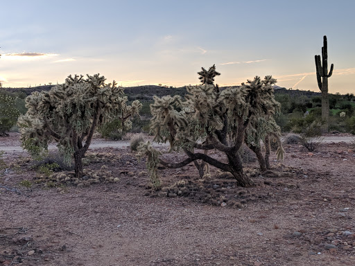 Golf Club «We-Ko-Pa Golf Club», reviews and photos, 18200 E Toh Vee Cir, Fort McDowell, AZ 85264, USA