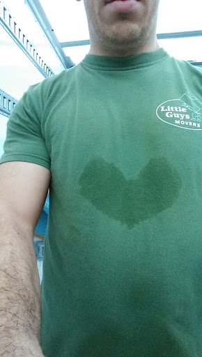 Moving Company «Little Guys Movers Murfreesboro», reviews and photos, 1432 Memorial Blvd, Murfreesboro, TN 37129, USA