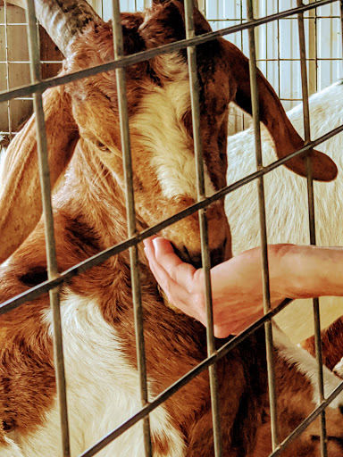 Farm «Jaemor Farms», reviews and photos, 5340 Cornelia Hwy, Alto, GA 30510, USA