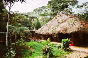 Huasquila Amazon Lodge image