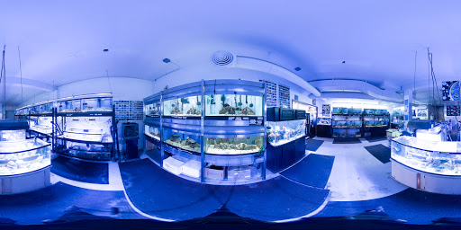 Pet Store «Fish Aquariums & Stuff», reviews and photos, 6112 W Fairview Ave, Boise, ID 83704, USA