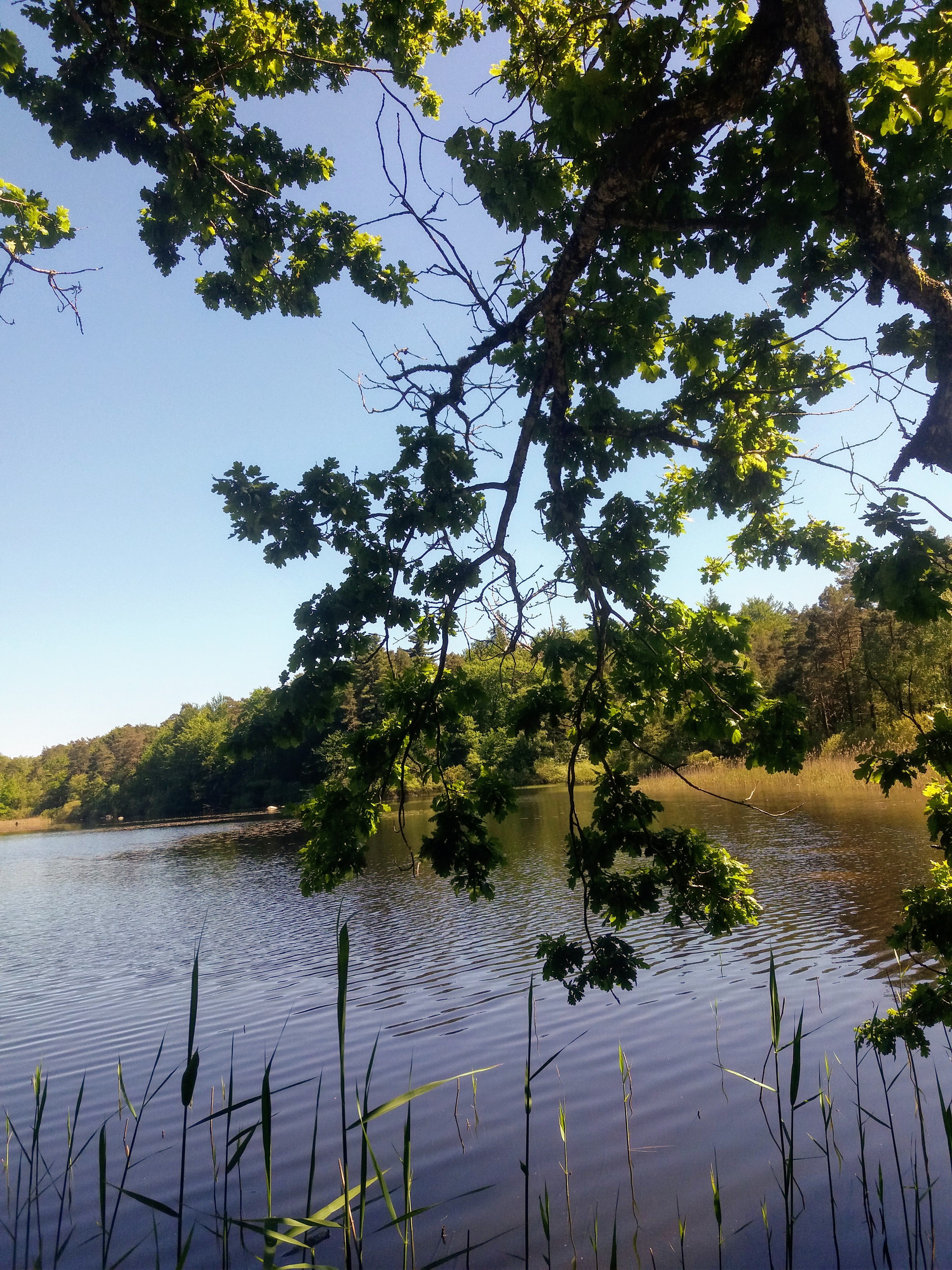 Photo n° 8 de l'avis de Carole.A fait le 03/06/2019 à 15:30