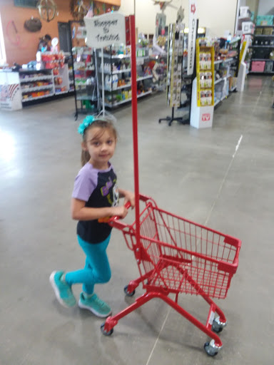 Hardware Store «Ace Hardware Garden St», reviews and photos, 3160 Garden St, Titusville, FL 32796, USA