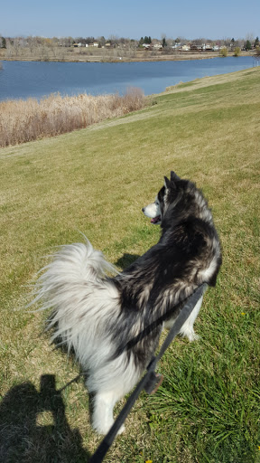 Park «Westminster City Park», reviews and photos, 10455 N Sheridan Blvd, Westminster, CO 80020, USA