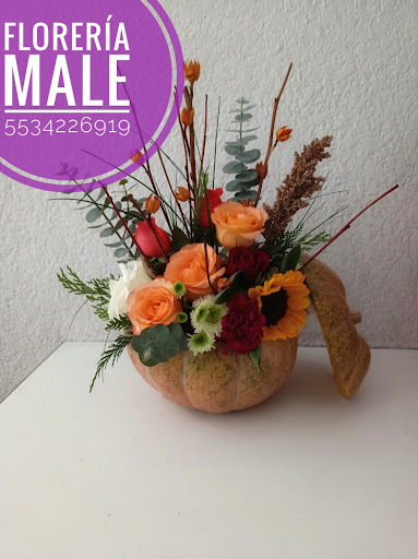 Florería Male Tlalnepantla – Tlalnepantla de Baz