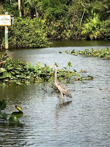 Learning Center «Oxbow Eco-Center», reviews and photos, 5400 NE St James Dr, Port St Lucie, FL 34983, USA