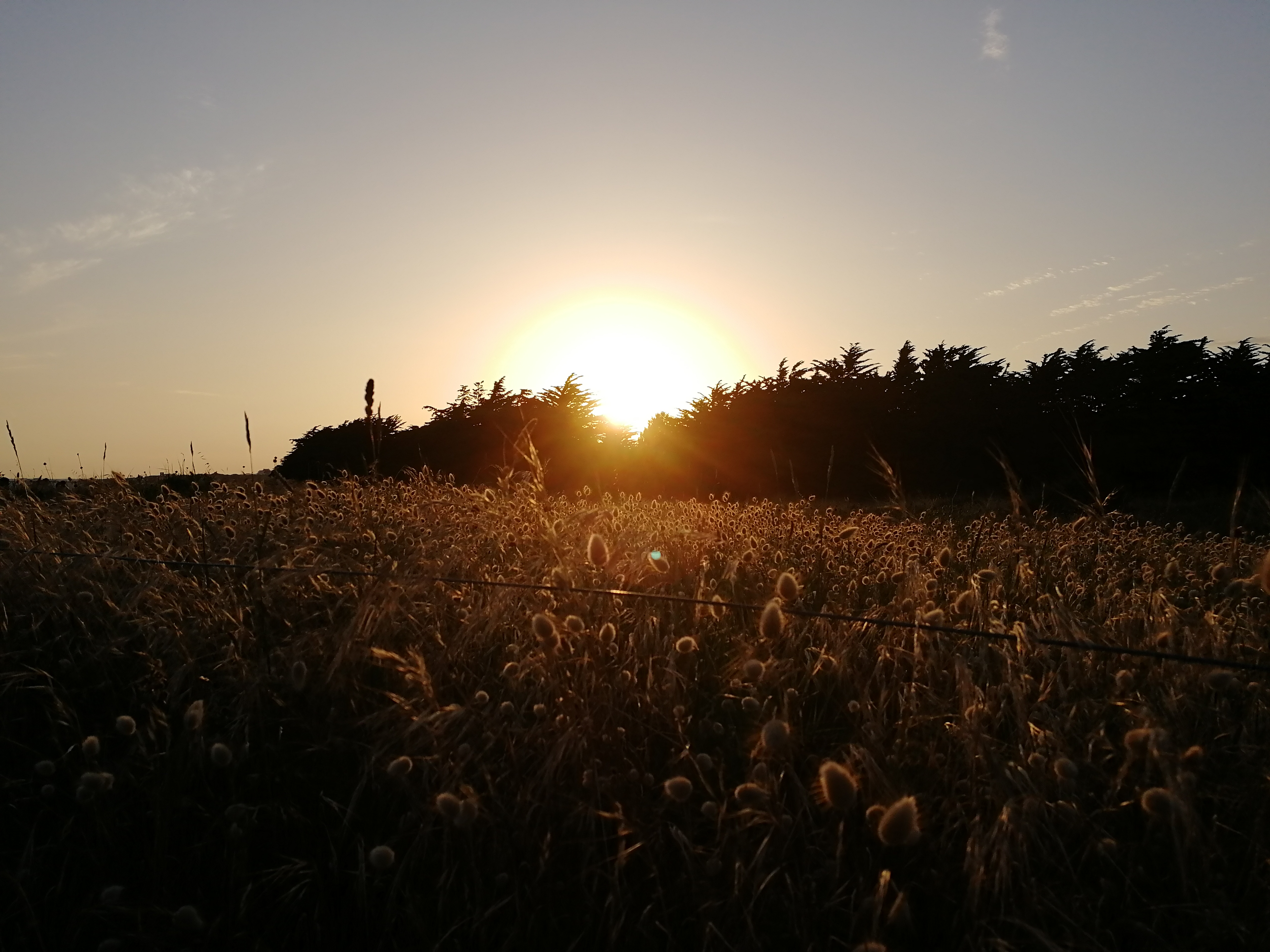 Photo n° 1 de l'avis de Vincent.o fait le 03/07/2019 à 00:02
