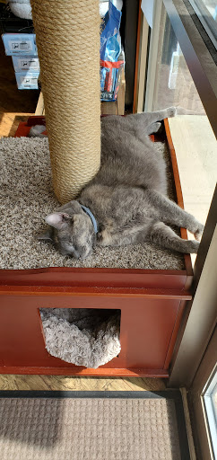 Pet Supply Store «EarthWise Pet Supply», reviews and photos, 7316 Yankee Rd, Liberty Township, OH 45044, USA