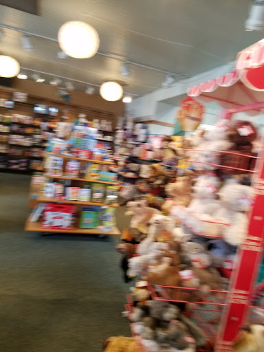 Camping Store «Whole Earth Provision Co.», reviews and photos, 2934 S Shepherd Dr, Houston, TX 77098, USA