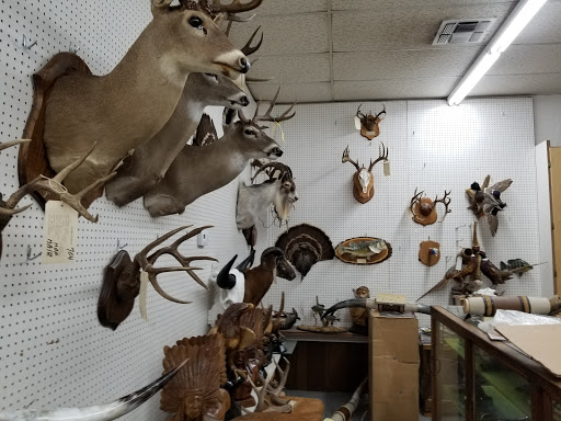 Jernigan's Taxidermy