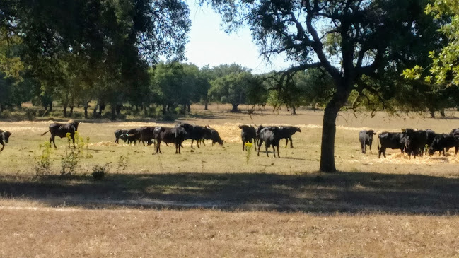 Herdade de Pancas - RNET - Benavente