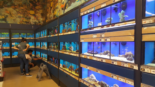 Pet Supply Store «Petco Animal Supplies», reviews and photos, 10190 W McDowell Rd, Avondale, AZ 85323, USA