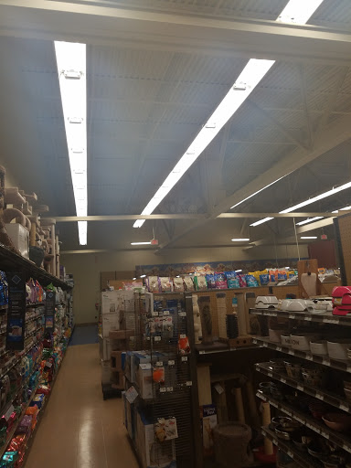 Pet Supply Store «Petco Animal Supplies», reviews and photos, 2522 W Moreland Rd, Willow Grove, PA 19090, USA