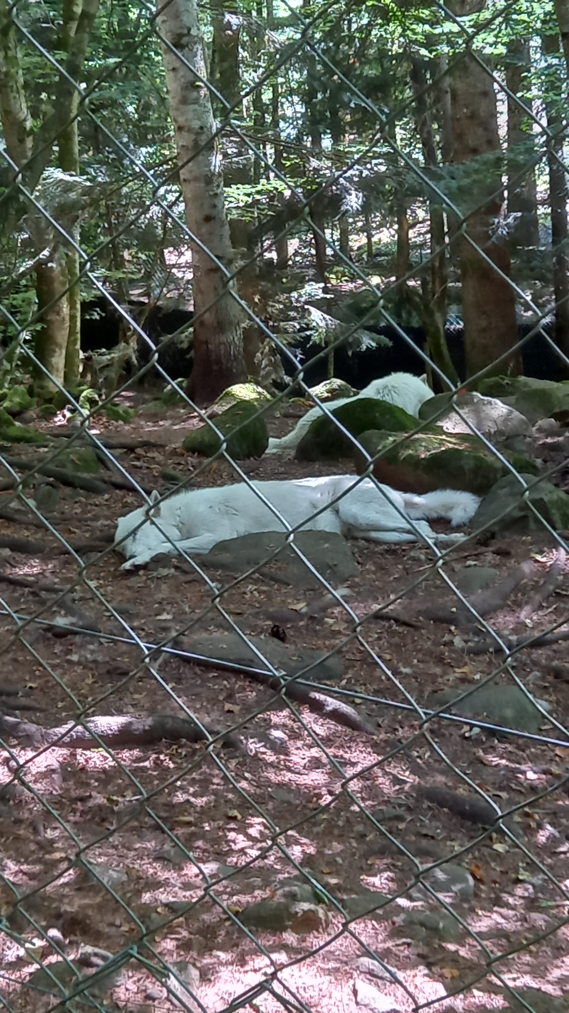 Photo n° 1 de l'avis de HENRY.O fait le 27/07/2022 à 15:59