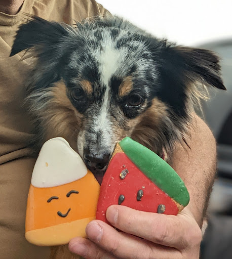 Pet Store «Feeders Supply», reviews and photos, 229 E Lewis and Clark Pkwy, Clarksville, IN 47129, USA