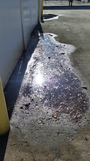 Amusement Center «Sky Zone Trampoline Park», reviews and photos, 1834 SW 2nd St, Pompano Beach, FL 33069, USA