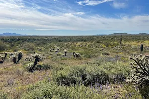 Apache Wash Trail Head image