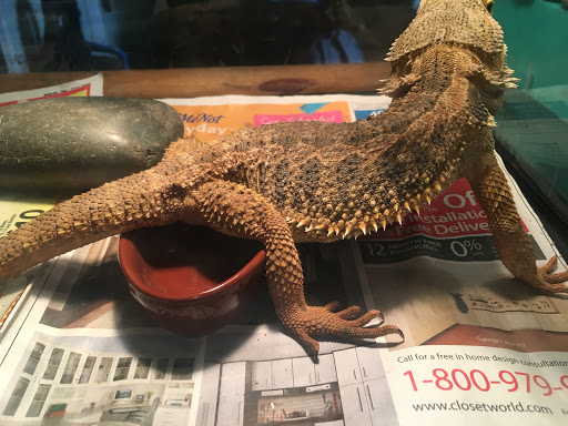 Tropical Fish Store «Sunset Pet & Supplies», reviews and photos, 1373 Sunset Blvd, Los Angeles, CA 90026, USA