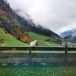 Photo n°2 de l'avis de Denise.t fait le 03/11/2019 à 21:52 sur le  Hotel Panorama à Brenner