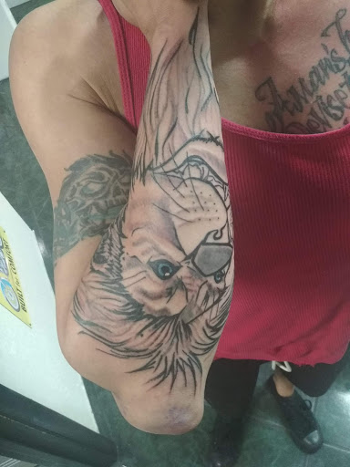 Tattoo Shop «Cool Cat Tattoos», reviews and photos, 3579 Powerline Rd, Oakland Park, FL 33309, USA