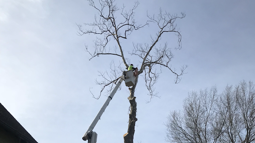 Hellmann's Tree Service