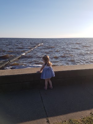 Northshore Lakefront - photo 19