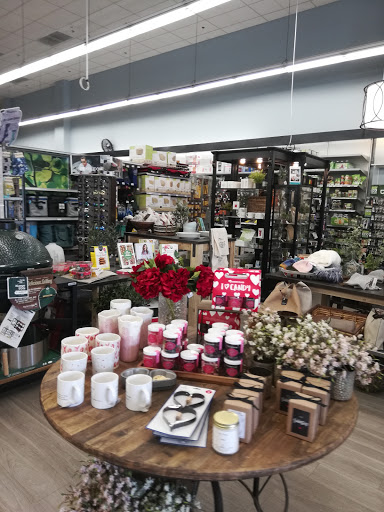 Hardware Store «Griffin Ace Hardware», reviews and photos, 3880 Valley Centre Dr #203, San Diego, CA 92130, USA