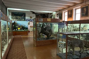 Zoological Museum image