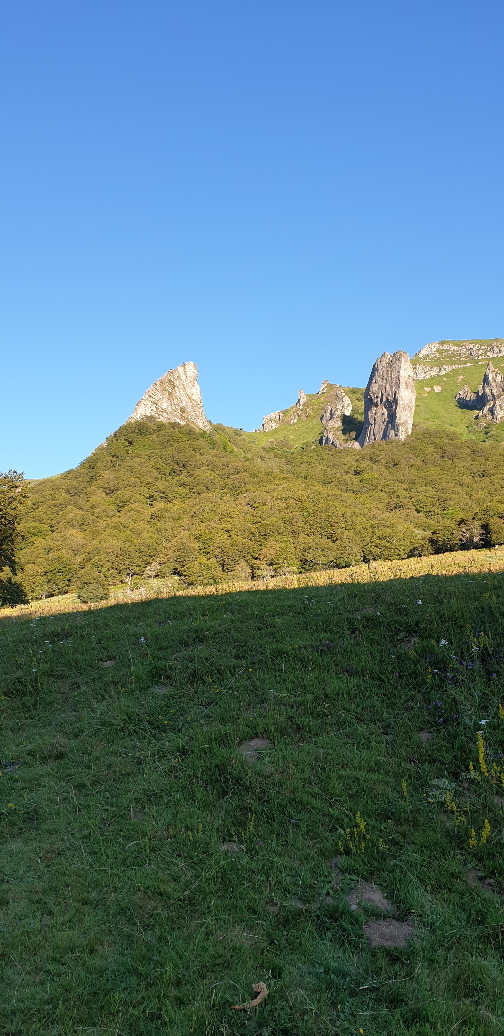 Photo n° 1 de l'avis de Vi-Harmonie. fait le 13/07/2020 à 16:42