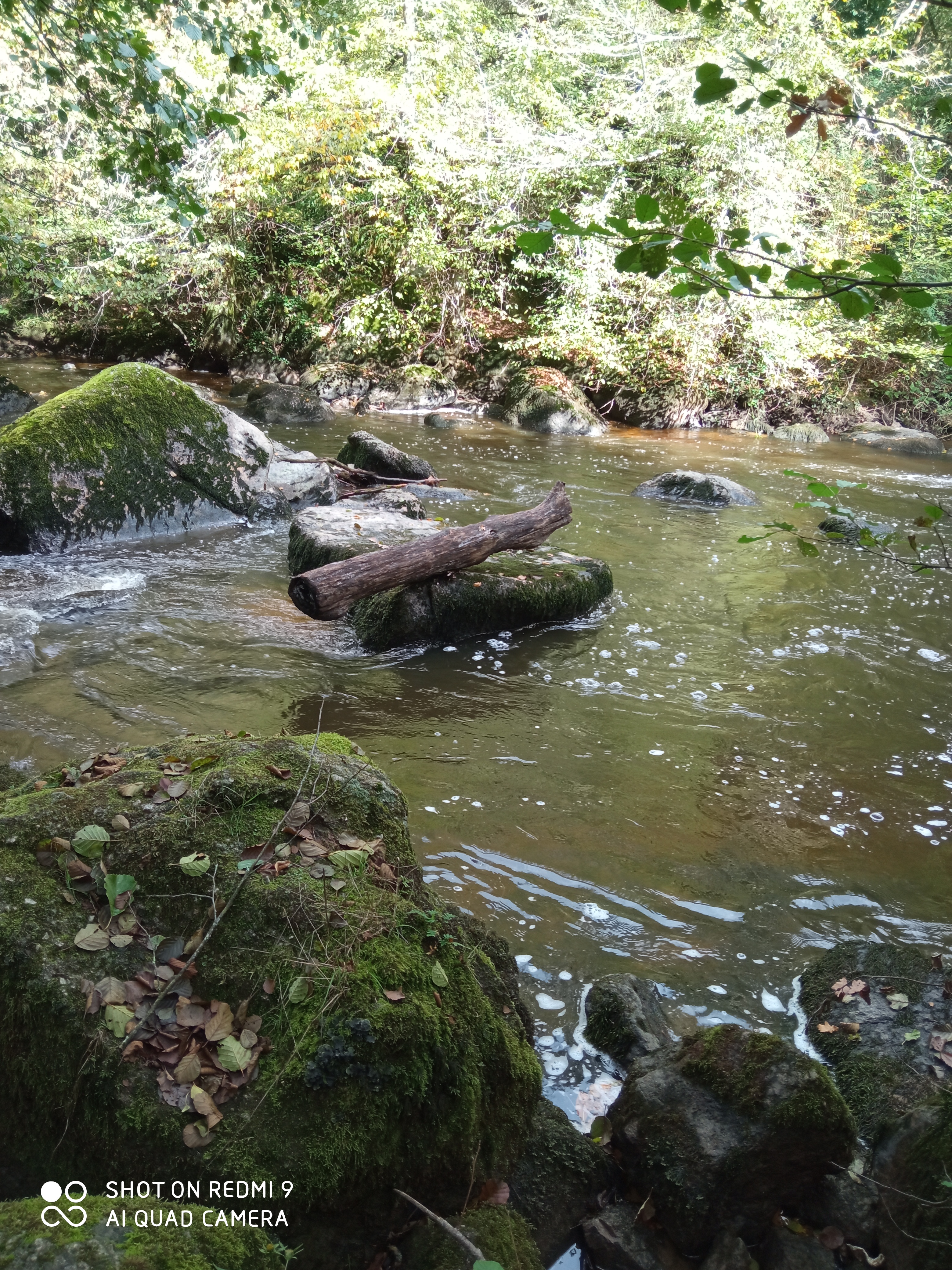 Photo n° 25 de l'avis de Ludmilla.U fait le 12/10/2020 à 15:27
