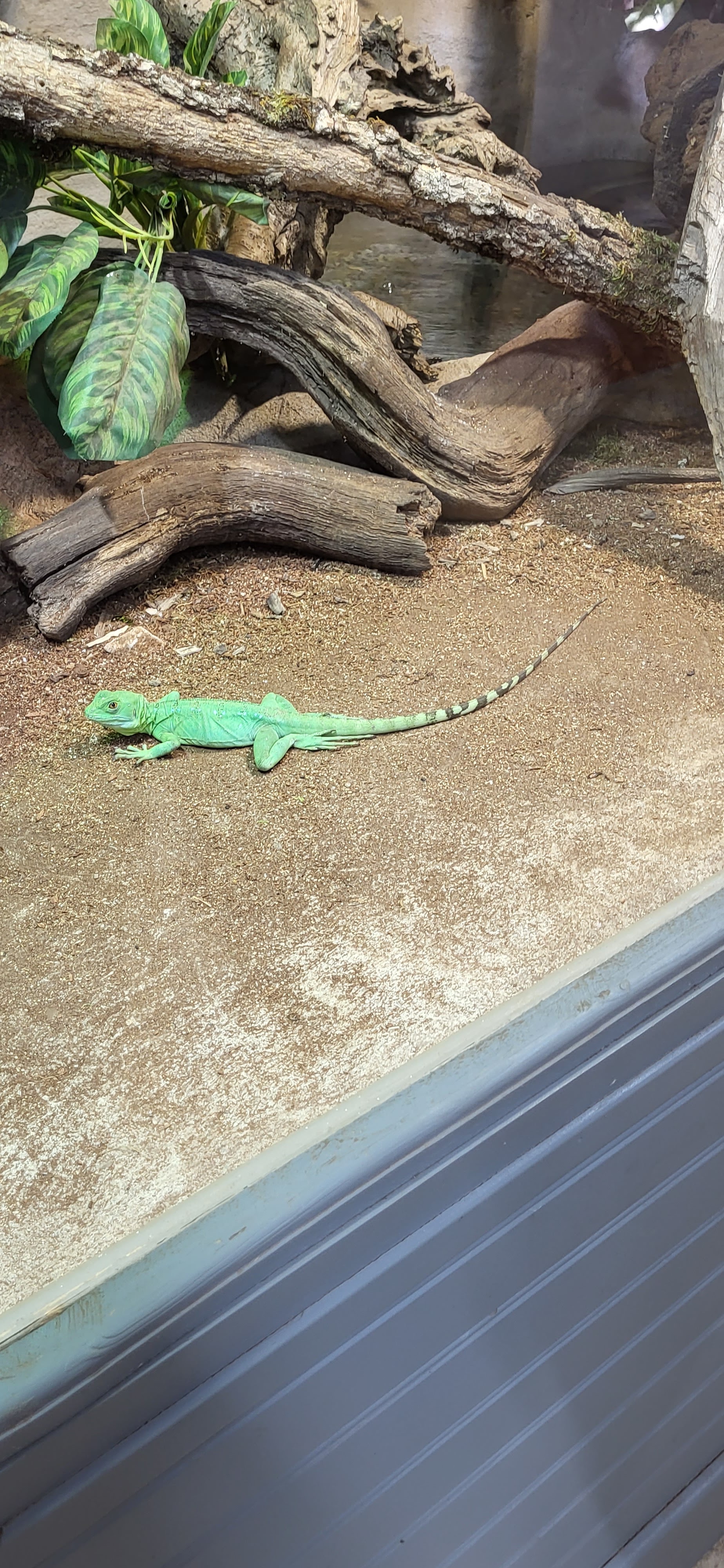 Photo n° 2 de l'avis de Marie.e fait le 18/02/2023 à 20:06