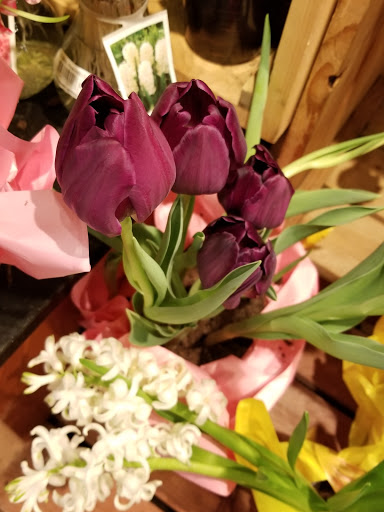 Grocery Store «The Fresh Market», reviews and photos, 526 21st St, Vero Beach, FL 32960, USA