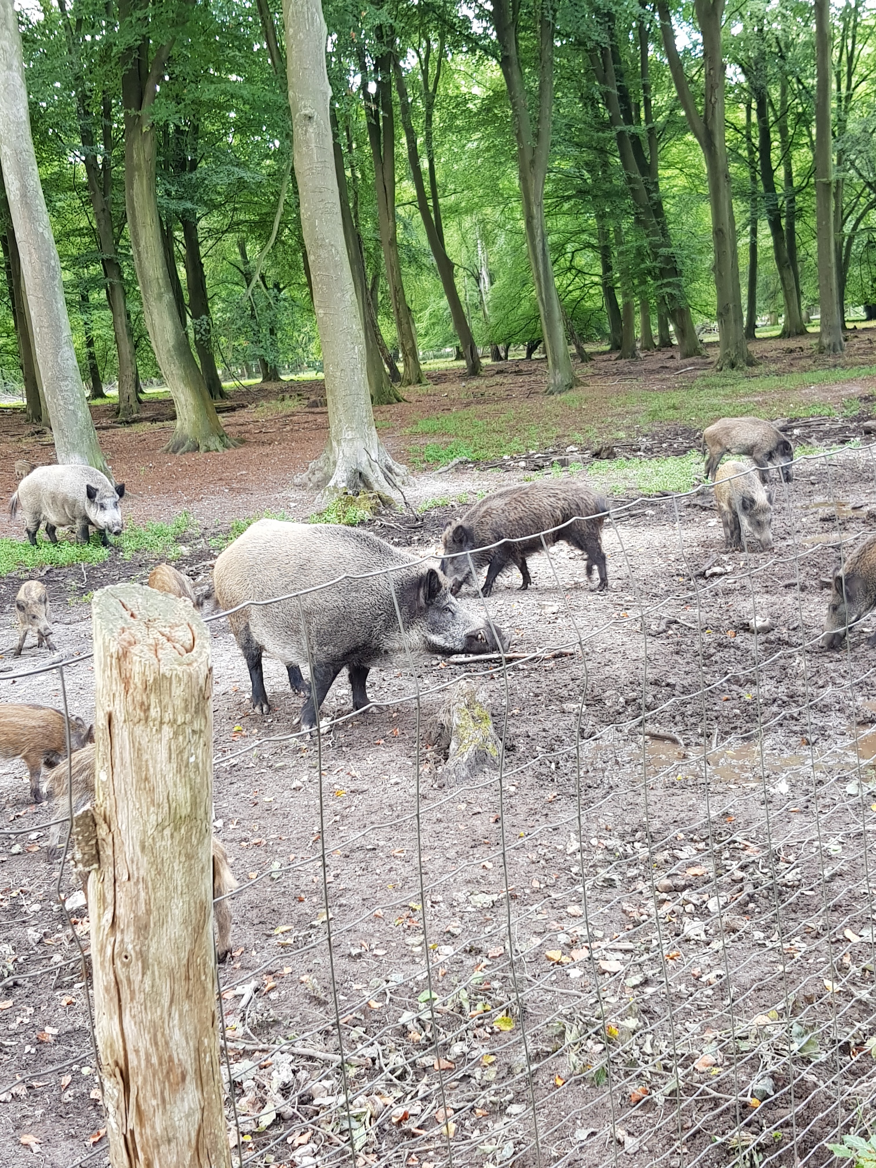 Photo n° 2 de l'avis de Martine.R fait le 21/08/2018 à 17:38